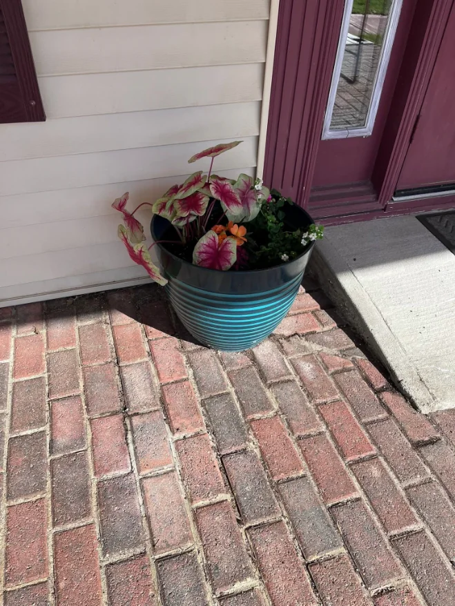 The maroon front door at Suite 5, with a brick walkway and a planter of caladiums beside it.
